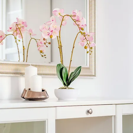 Easy Rent - Old Town, Stare 24h Check-in *