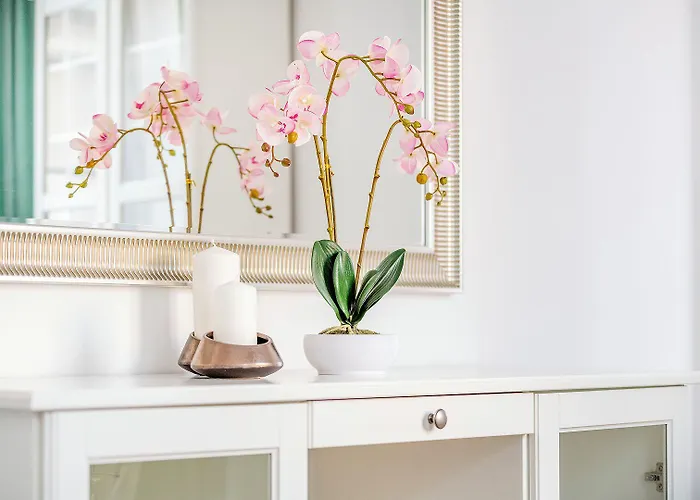 Easy Rent - Old Town, Stare 24h Check-in *